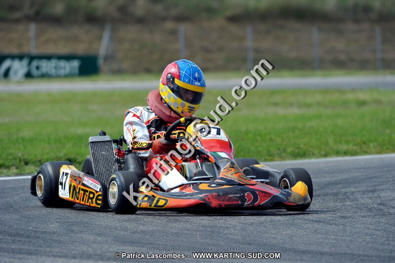 DSC_ (503).jpg